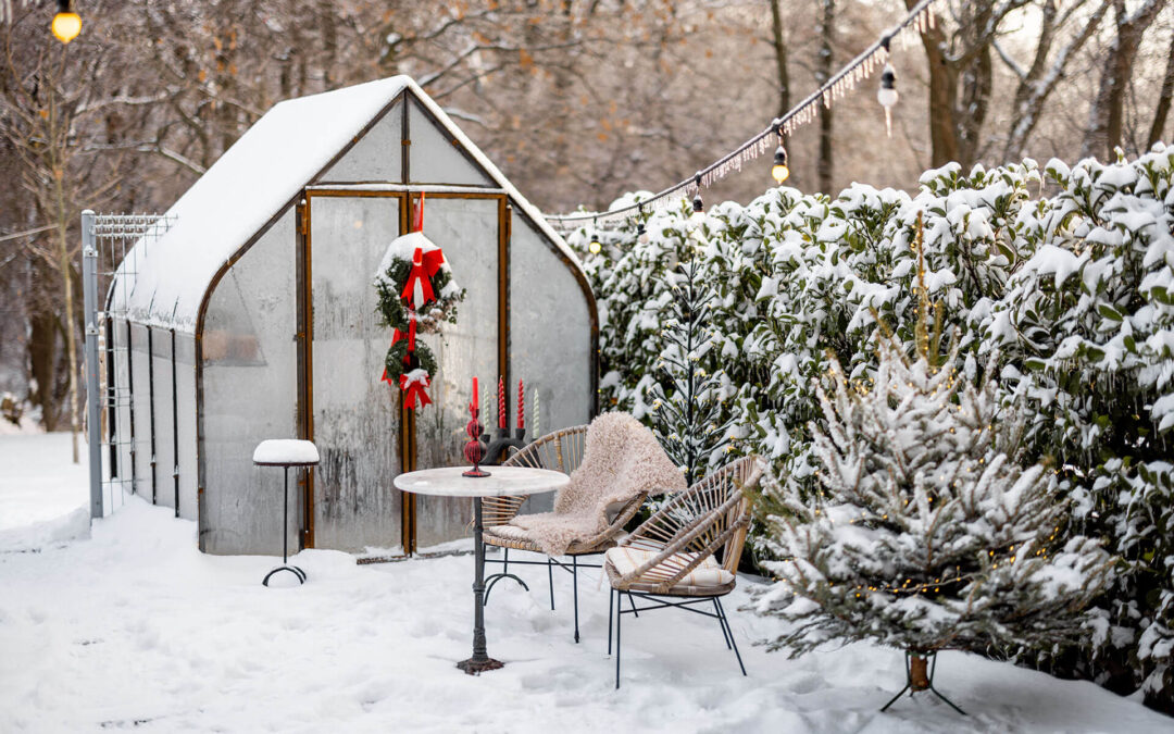 Unbeheiztes Gewächshaus im Winter nutzen – Möglichkeiten, Vorteile und Grenzen